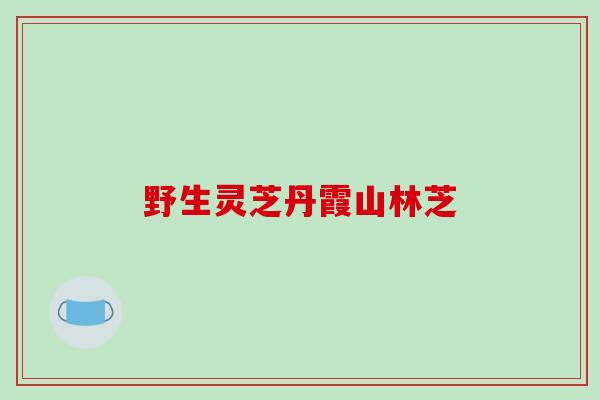 野生灵芝丹霞山林芝