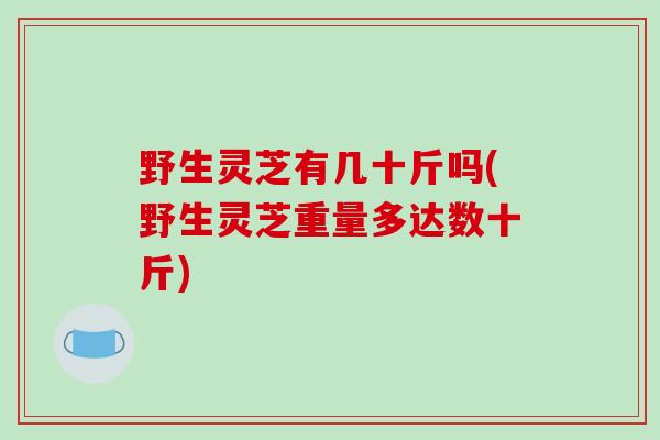 野生灵芝有几十斤吗(野生灵芝重量多达数十斤)