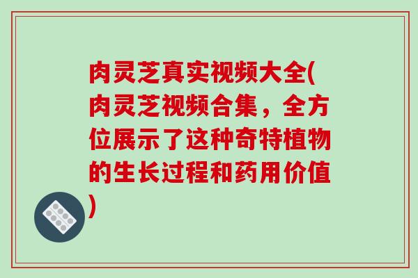 肉灵芝真实视频大全(肉灵芝视频合集,全方位展示了这种奇特植物的生长过程和药用价值)
