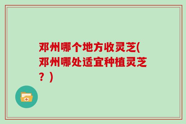 邓州哪个地方收灵芝(邓州哪处适宜种植灵芝？)