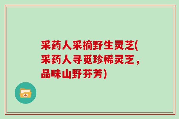 采药人采摘野生灵芝(采药人寻觅珍稀灵芝,品味山野芬芳)