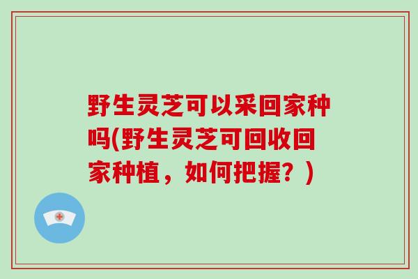 野生灵芝可以采回家种吗(野生灵芝可回收回家种植,如何把握?)