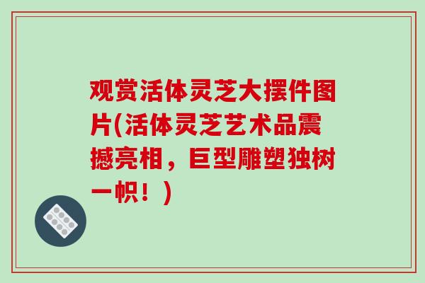 观赏活体灵芝大摆件图片(活体灵芝艺术品震撼亮相,巨型雕塑独树一帜!)