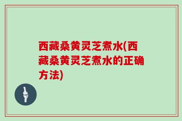 西藏桑黄灵芝煮水(西藏桑黄灵芝煮水的正确方法)