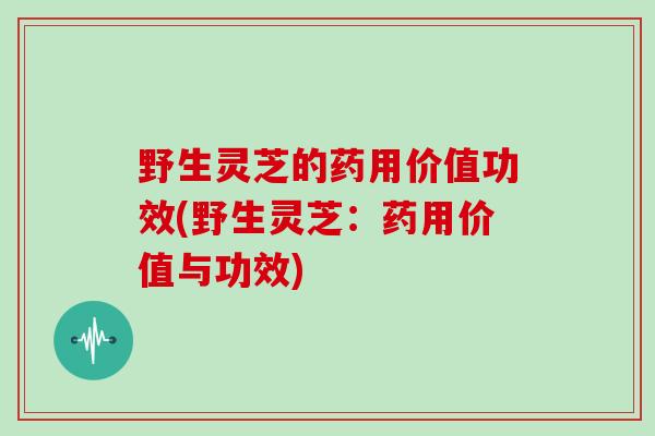 野生灵芝的药用价值功效(野生灵芝:药用价值与功效)