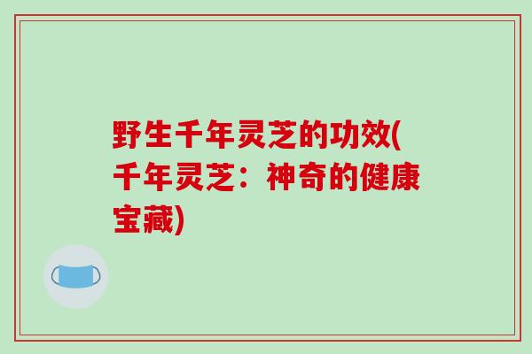 野生千年灵芝的功效(千年灵芝：神奇的健康宝藏)