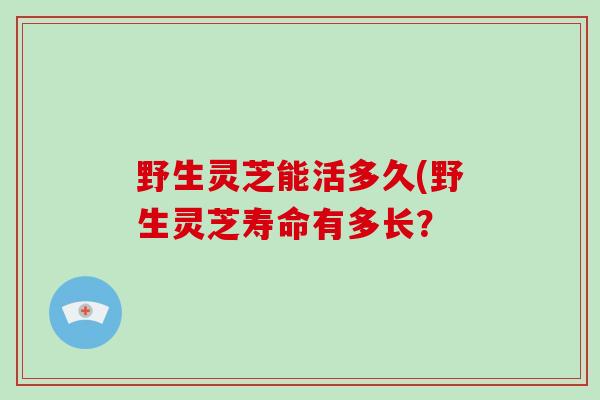 野生灵芝能活多久(野生灵芝寿命有多长？