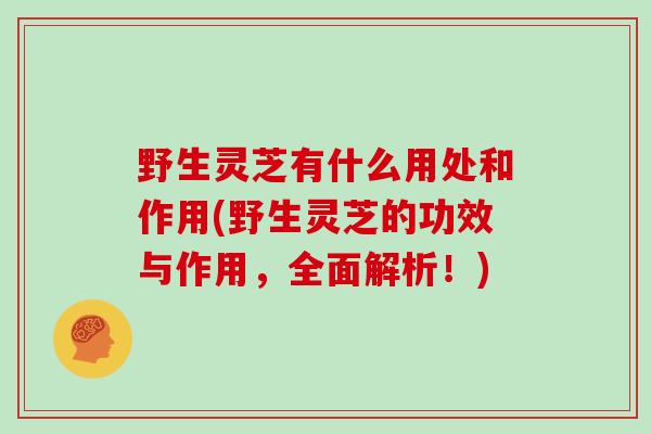 野生灵芝有什么用处和作用(野生灵芝的功效与作用，全面解析！)
