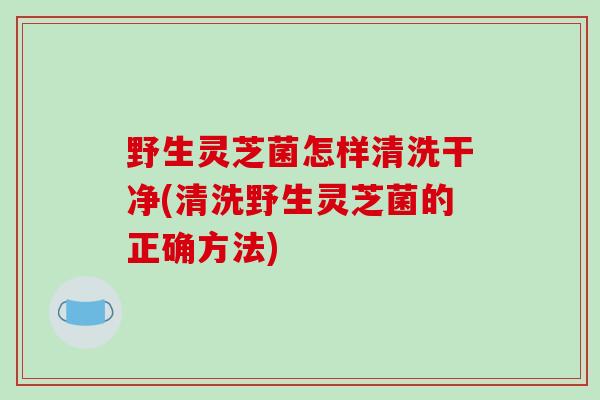 野生灵芝菌怎样清洗干净(清洗野生灵芝菌的正确方法)