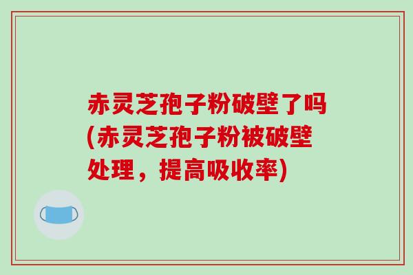 赤灵芝孢子粉破壁了吗(赤灵芝孢子粉被破壁处理，提高吸收率)