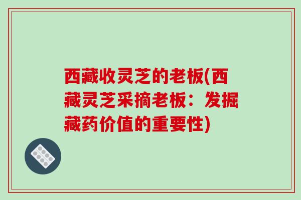西藏收灵芝的老板(西藏灵芝采摘老板:发掘藏药价值的重要性)