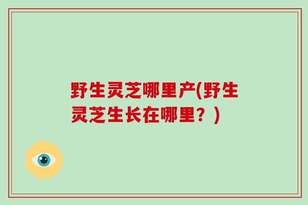 野生灵芝哪里产(野生灵芝生长在哪里？)