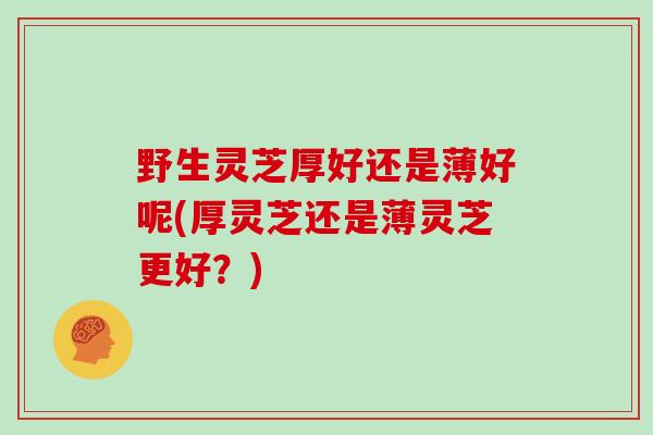 野生灵芝厚好还是薄好呢(厚灵芝还是薄灵芝更好?)