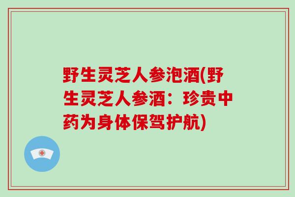 野生灵芝人参泡酒(野生灵芝人参酒:珍贵中药为身体保驾护航)