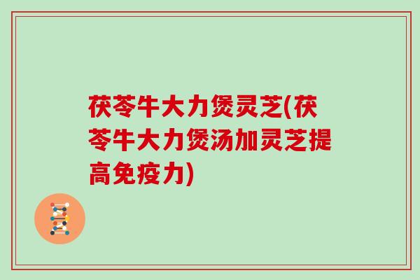 茯苓牛大力煲灵芝(茯苓牛大力煲汤加灵芝提高免疫力)