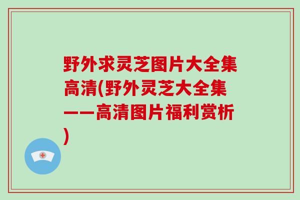 野外求灵芝图片大全集高清(野外灵芝大全集——高清图片福利赏析)