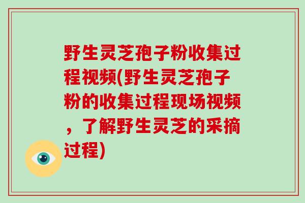 野生灵芝孢子粉收集过程视频(野生灵芝孢子粉的收集过程现场视频,了解野生灵芝的采摘过程)