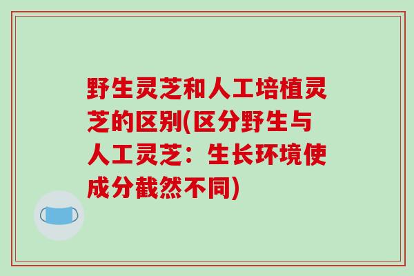 野生灵芝和人工培植灵芝的区别(区分野生与人工灵芝:生长环境使成分截然不同)