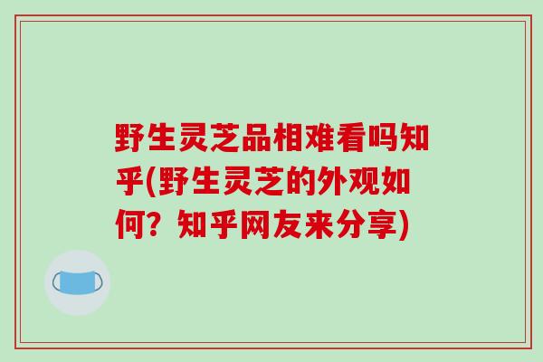 野生灵芝品相难看吗知乎(野生灵芝的外观如何?知乎网友来分享)