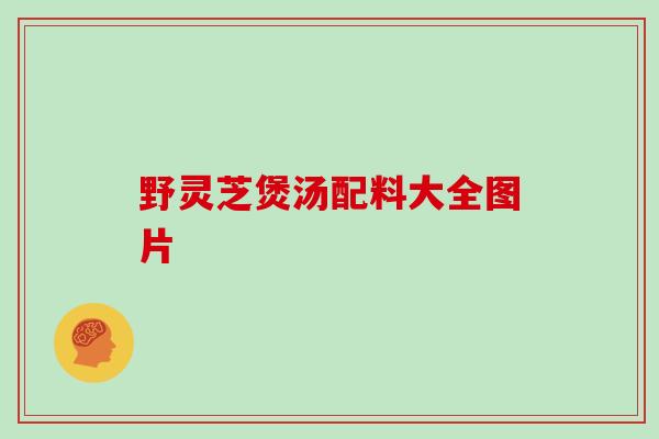 野灵芝煲汤配料大全图片