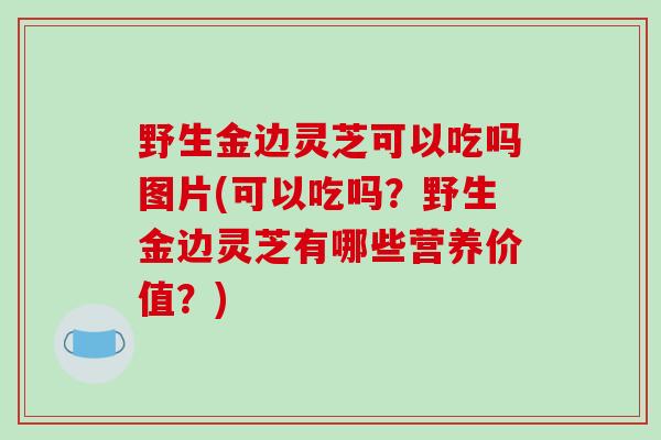 野生金边灵芝可以吃吗图片(可以吃吗?野生金边灵芝有哪些营养价值?)