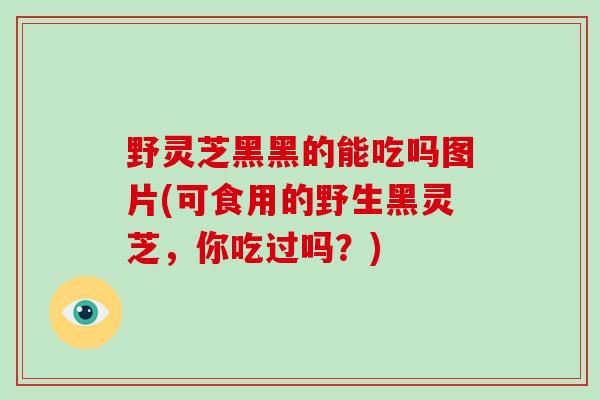 野灵芝黑黑的能吃吗图片(可食用的野生黑灵芝,你吃过吗?)