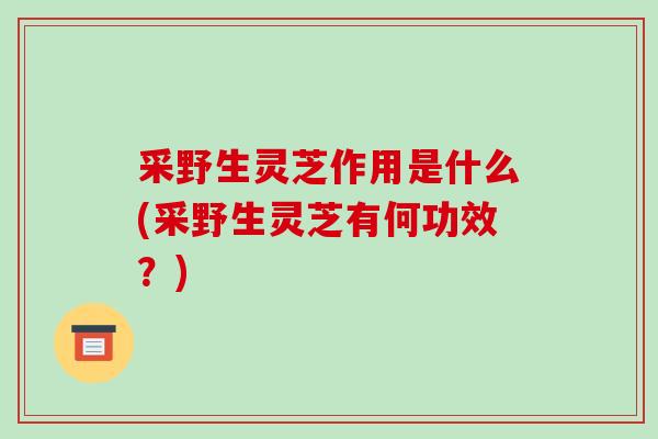 采野生灵芝作用是什么(采野生灵芝有何功效?)