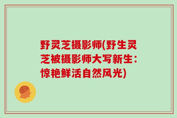 野灵芝摄影师(野生灵芝被摄影师大写新生:惊艳鲜活自然风光)