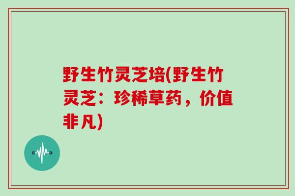 野生竹灵芝培(野生竹灵芝：珍稀草药，价值非凡)