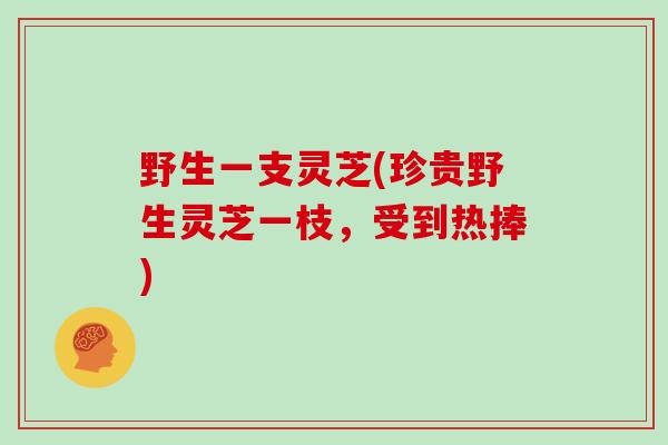 野生一支灵芝(珍贵野生灵芝一枝,受到热捧)