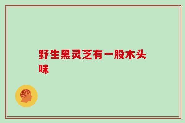 野生黑灵芝有一股木头味