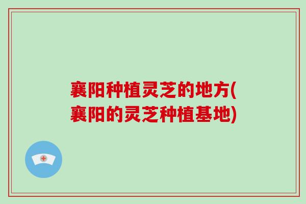 襄阳种植灵芝的地方(襄阳的灵芝种植基地)