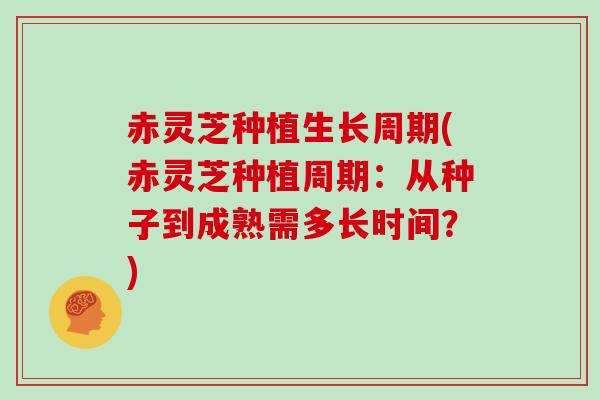 赤灵芝种植生长周期(赤灵芝种植周期:从种子到成熟需多长时间?)