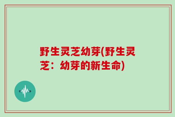 野生灵芝幼芽(野生灵芝：幼芽的新生命)