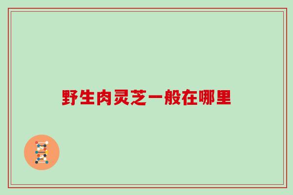 野生肉灵芝一般在哪里