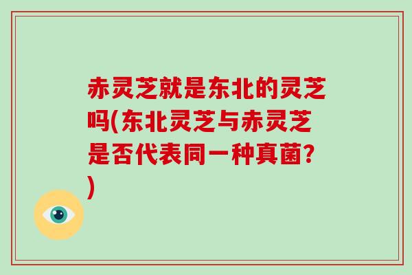 赤灵芝就是东北的灵芝吗(东北灵芝与赤灵芝是否代表同一种真菌?)