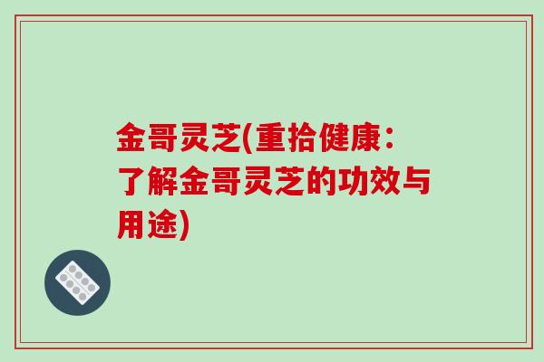 金哥灵芝(重拾健康:了解金哥灵芝的功效与用途)