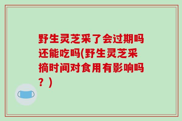 野生灵芝采了会过期吗还能吃吗(野生灵芝采摘时间对食用有影响吗？)