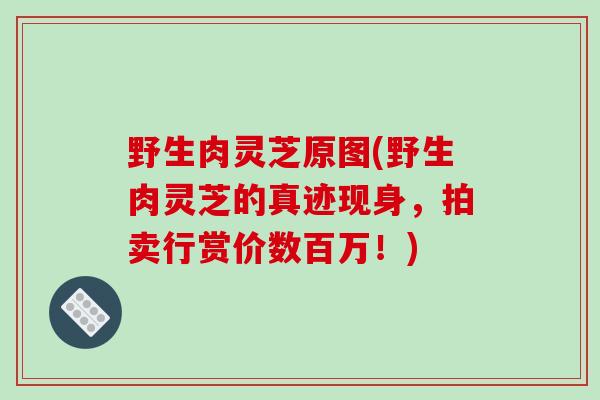 野生肉灵芝原图(野生肉灵芝的真迹现身,拍卖行赏价数百万!)