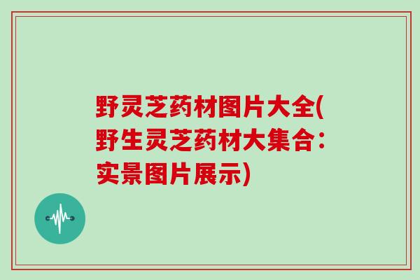 野灵芝药材图片大全(野生灵芝药材大集合:实景图片展示)