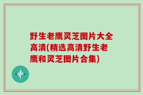 野生老鹰灵芝图片大全高清(精选高清野生老鹰和灵芝图片合集)