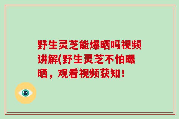 野生灵芝能爆晒吗视频讲解(野生灵芝不怕曝晒,观看视频获知!