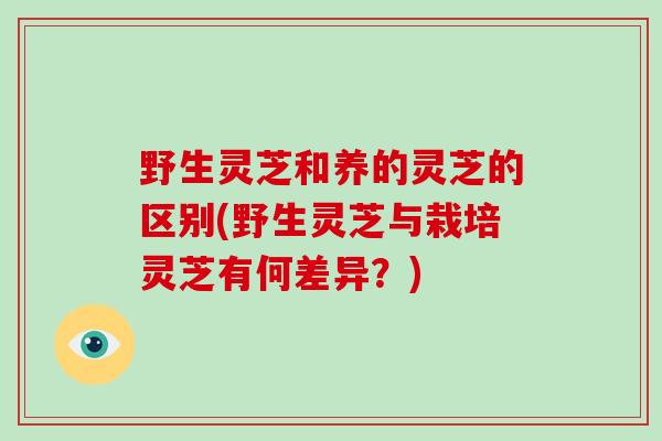 野生灵芝和养的灵芝的区别(野生灵芝与栽培灵芝有何差异?)