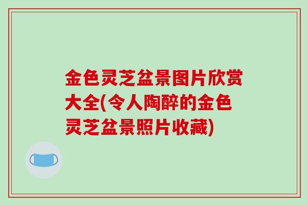 金色灵芝盆景图片欣赏大全(令人陶醉的金色灵芝盆景照片收藏)