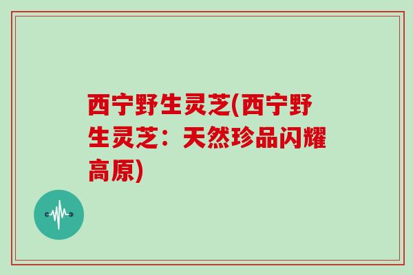 西宁野生灵芝(西宁野生灵芝：天然珍品闪耀高原)