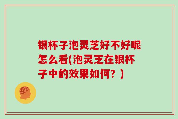银杯子泡灵芝好不好呢怎么看(泡灵芝在银杯子中的效果如何?)
