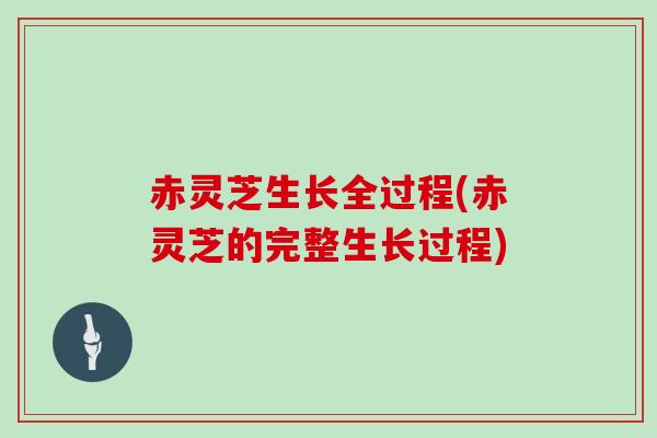 赤灵芝生长全过程(赤灵芝的完整生长过程)