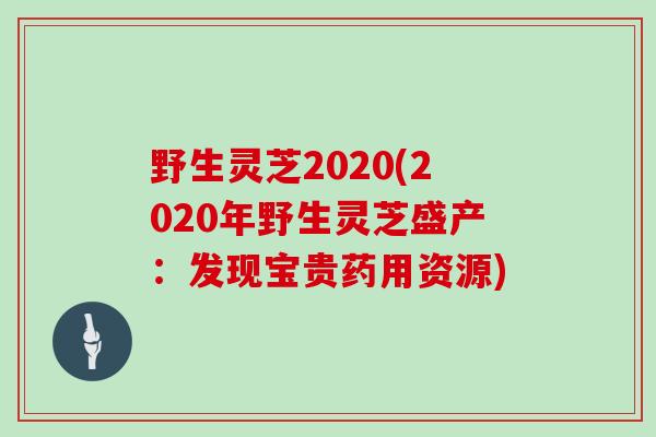 野生灵芝2020(2020年野生灵芝盛产：发现宝贵药用资源)