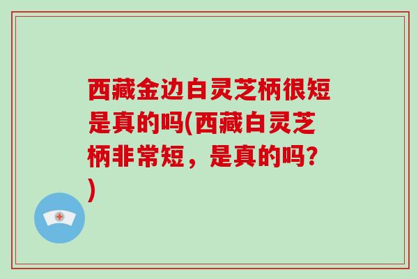 西藏金边白灵芝柄很短是真的吗(西藏白灵芝柄非常短,是真的吗?)
