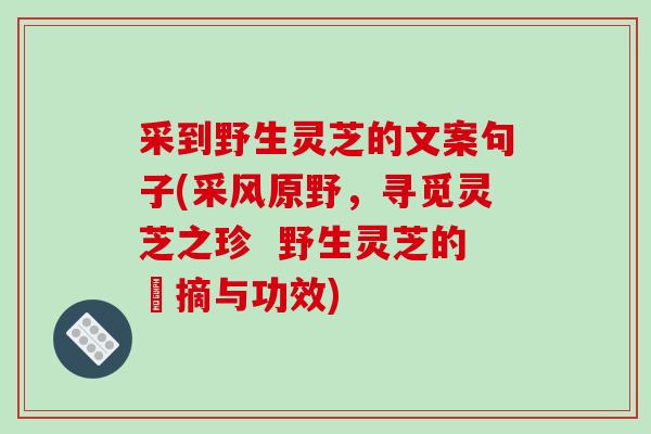 采到野生灵芝的文案句子(采风原野,寻觅灵芝之珍 野生灵芝的採摘与功效)